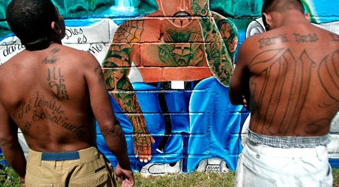 PANDILLAS-EL-SALVADOR-MARAS-2302181-750x375