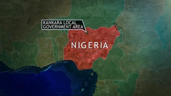 credito_de_la_imagen_cbn_news_nigeria_0