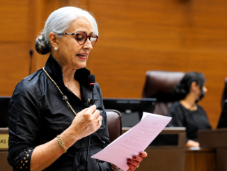 Diputada Abril Gordienko durante intervención sobre seguridad en la Asamblea Legislativa de Costa Rica