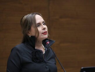 Pines de oro de la Asamblea Legislativa serán sustituidos por distintivos de menor costo