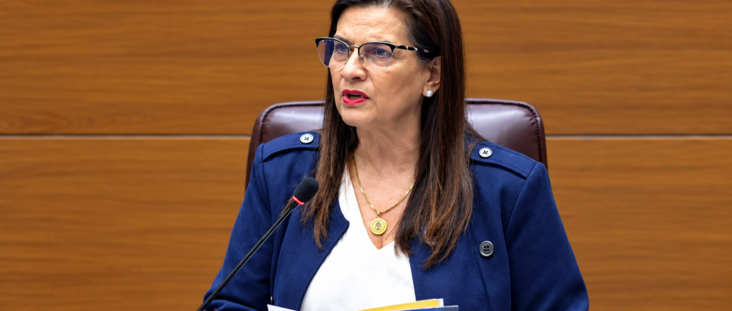 Marta Esquivel durante una intervención en el plenario legislativo