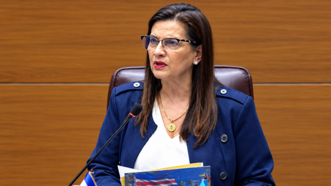 Marta Esquivel durante una intervención en el plenario legislativo