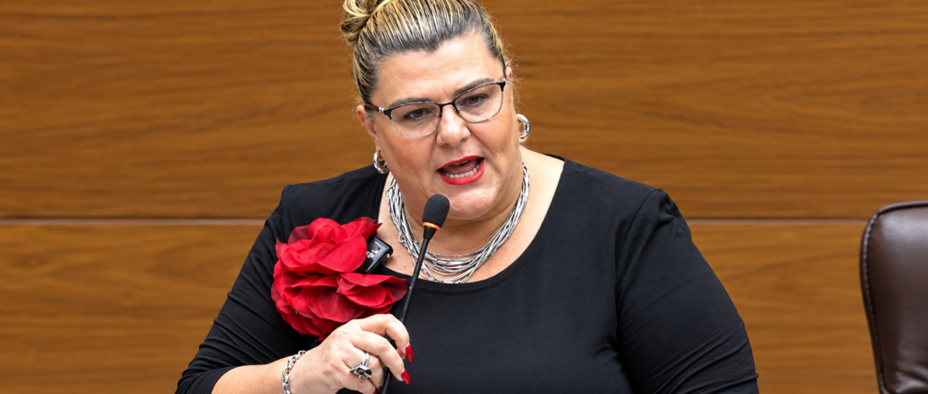 Kattia Calvo durante declaraciones sobre vandalismo, protestas y controles de seguridad en Costa Rica