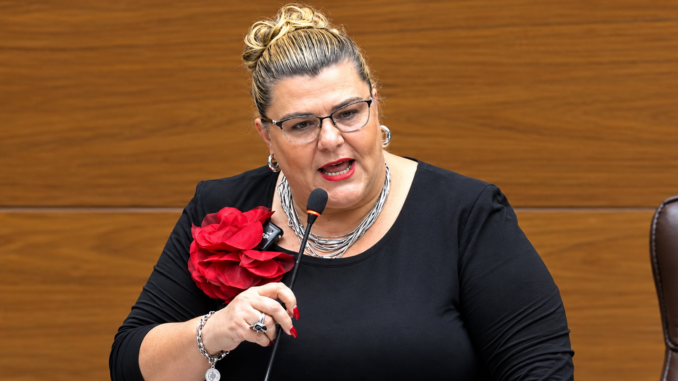 Kattia Calvo durante declaraciones sobre vandalismo, protestas y controles de seguridad en Costa Rica