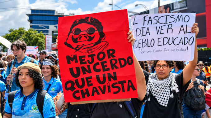 Pancarta inspirada en Studio Ghibli durante la marcha por el FEES